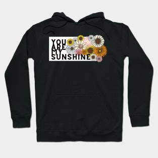 you are my sunshine Hoodie